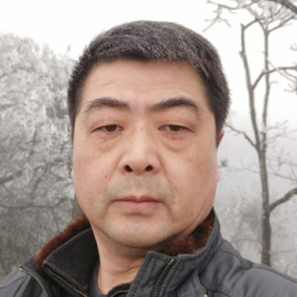 绿草~随缘的照片