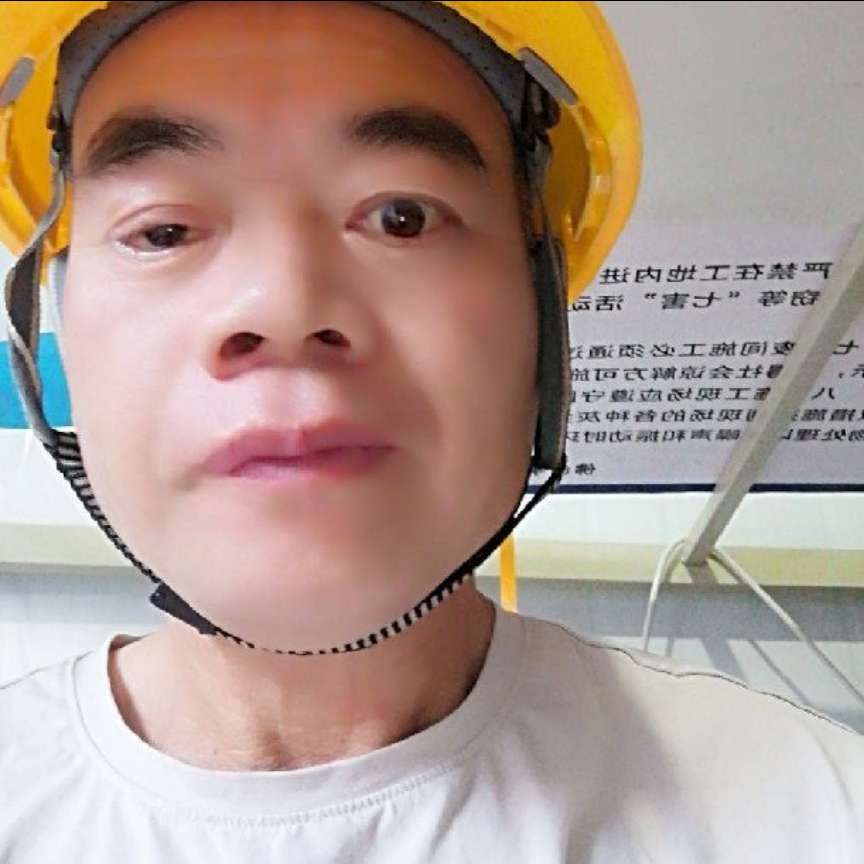 菠萝演变虚幻的照片