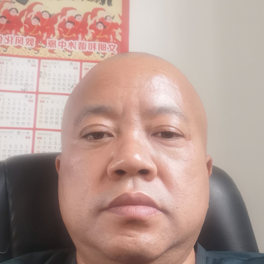彩色漫步红玫瑰的照片