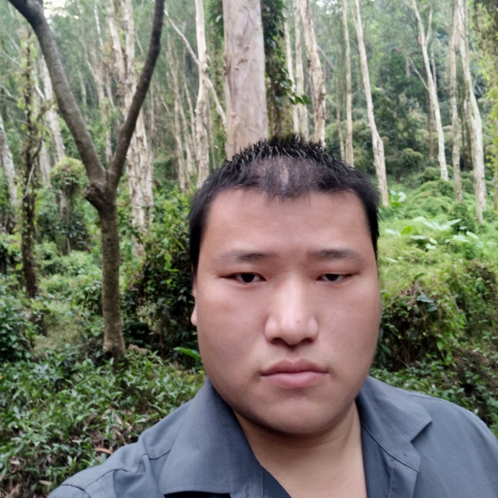琉璃蹁跹潇洒的照片