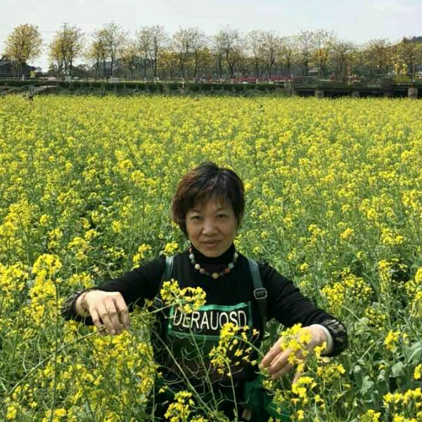 太阳愉快的照片