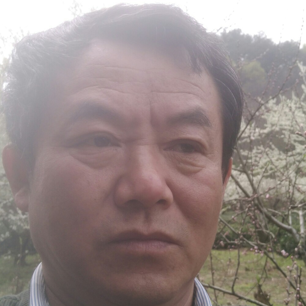 金鱼有光亮的照片