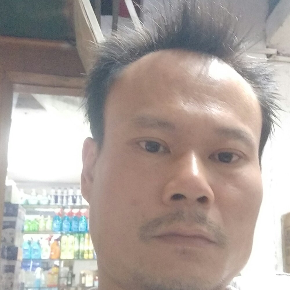 猫咪拾忆爱撒娇的照片