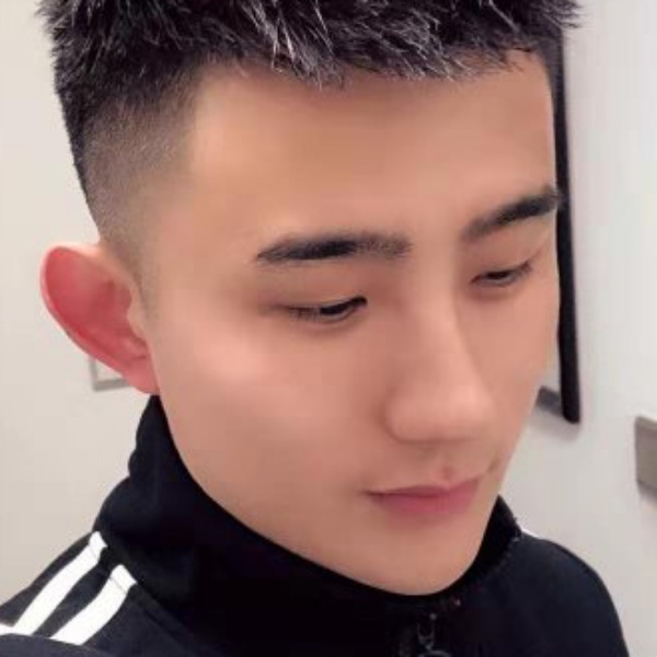 Animal s的照片