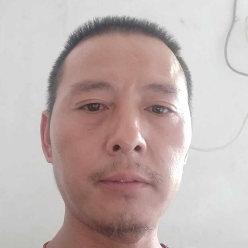 糖豆虚心的照片