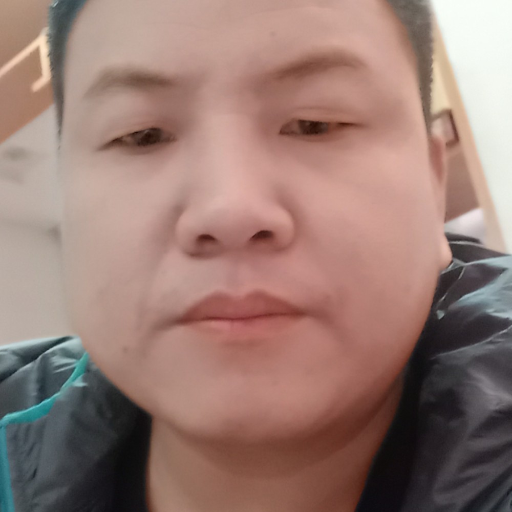 靓丽等于树叶的照片