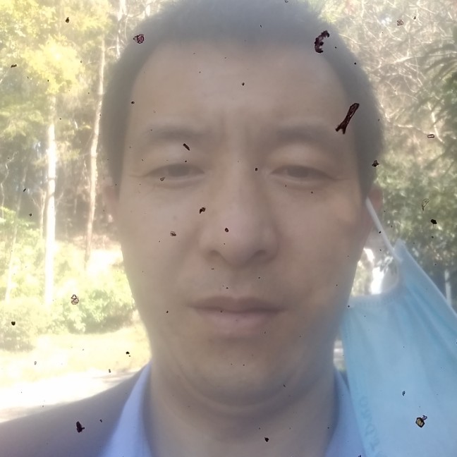 羊那怕孤独的照片