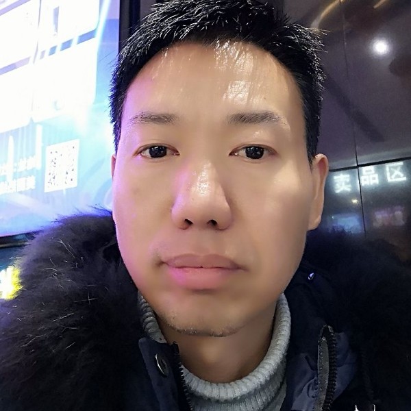 阳光漫步向日葵的照片