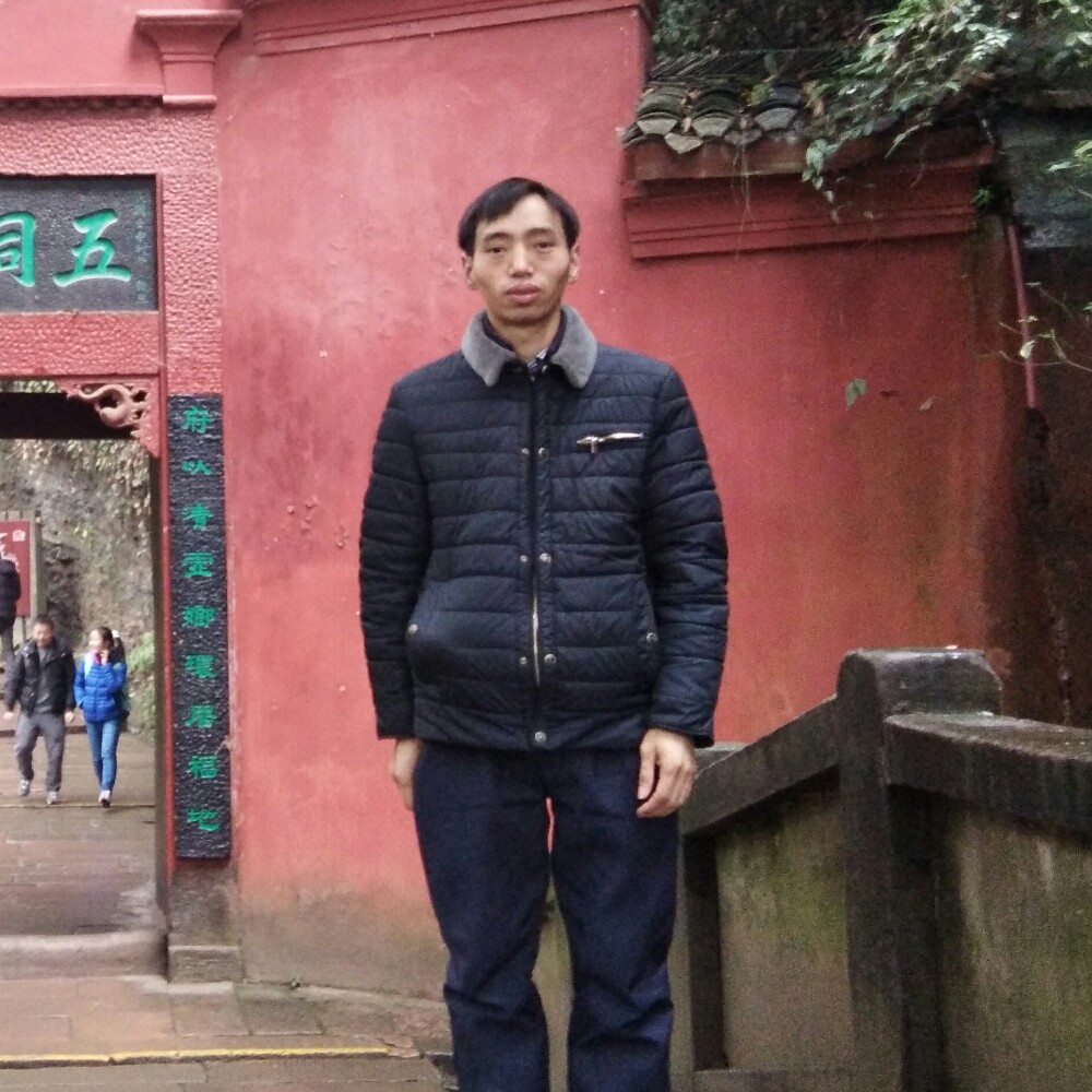 淡定刺猬的照片
