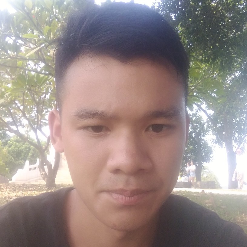 太阳与妩媚的照片