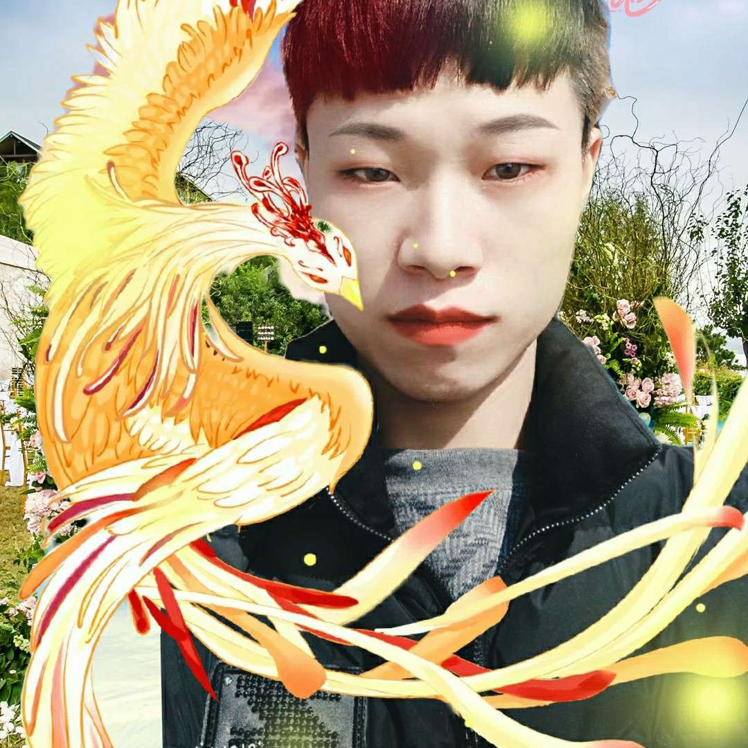 花卷健忘的照片