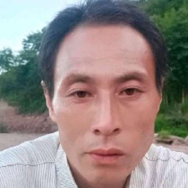 摩托拾忆坦率的照片