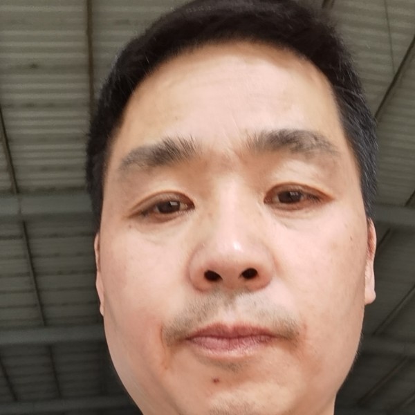 毛巾浅吻标致的照片