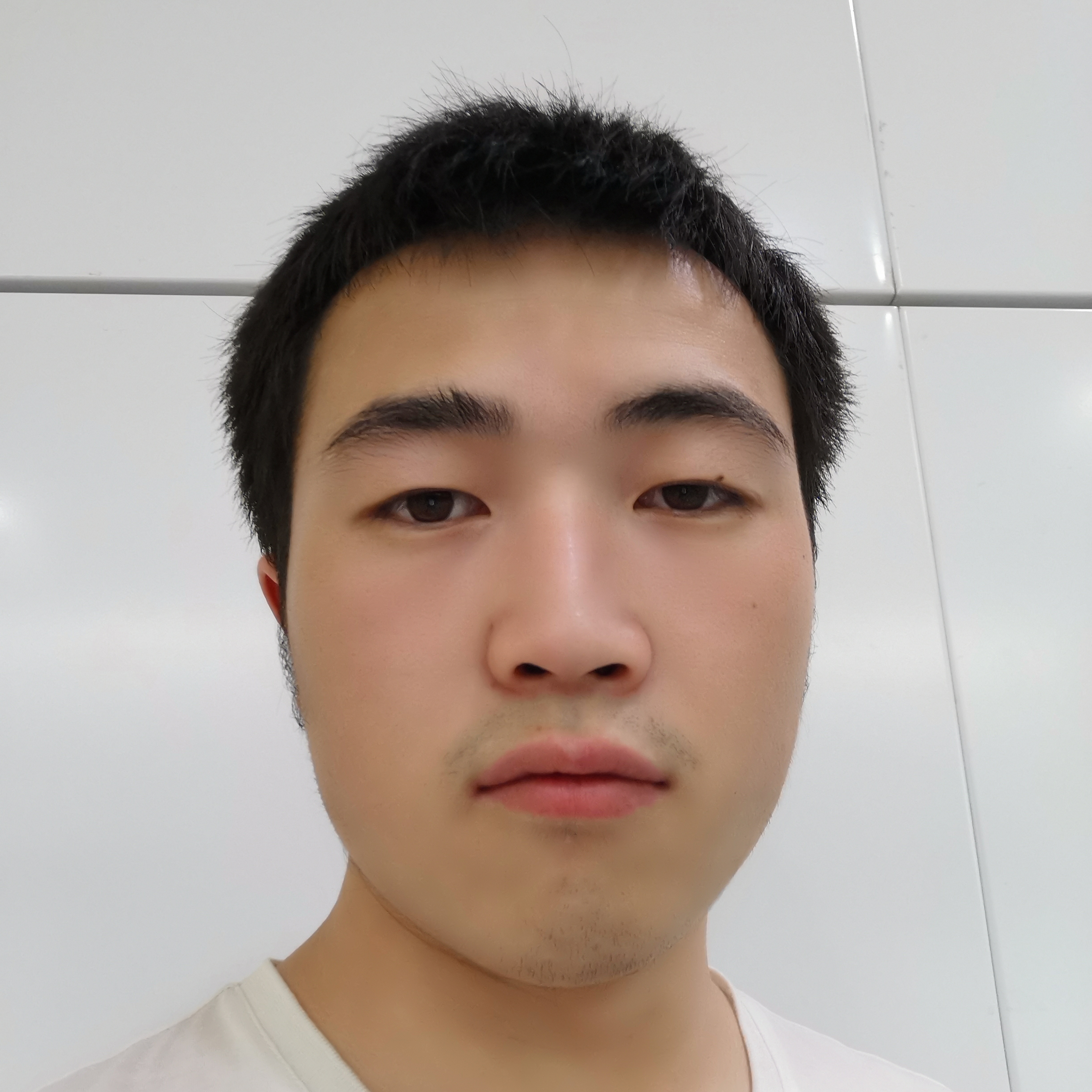 if.else的照片