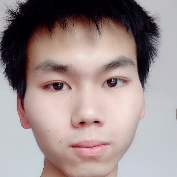 超级还树叶的照片