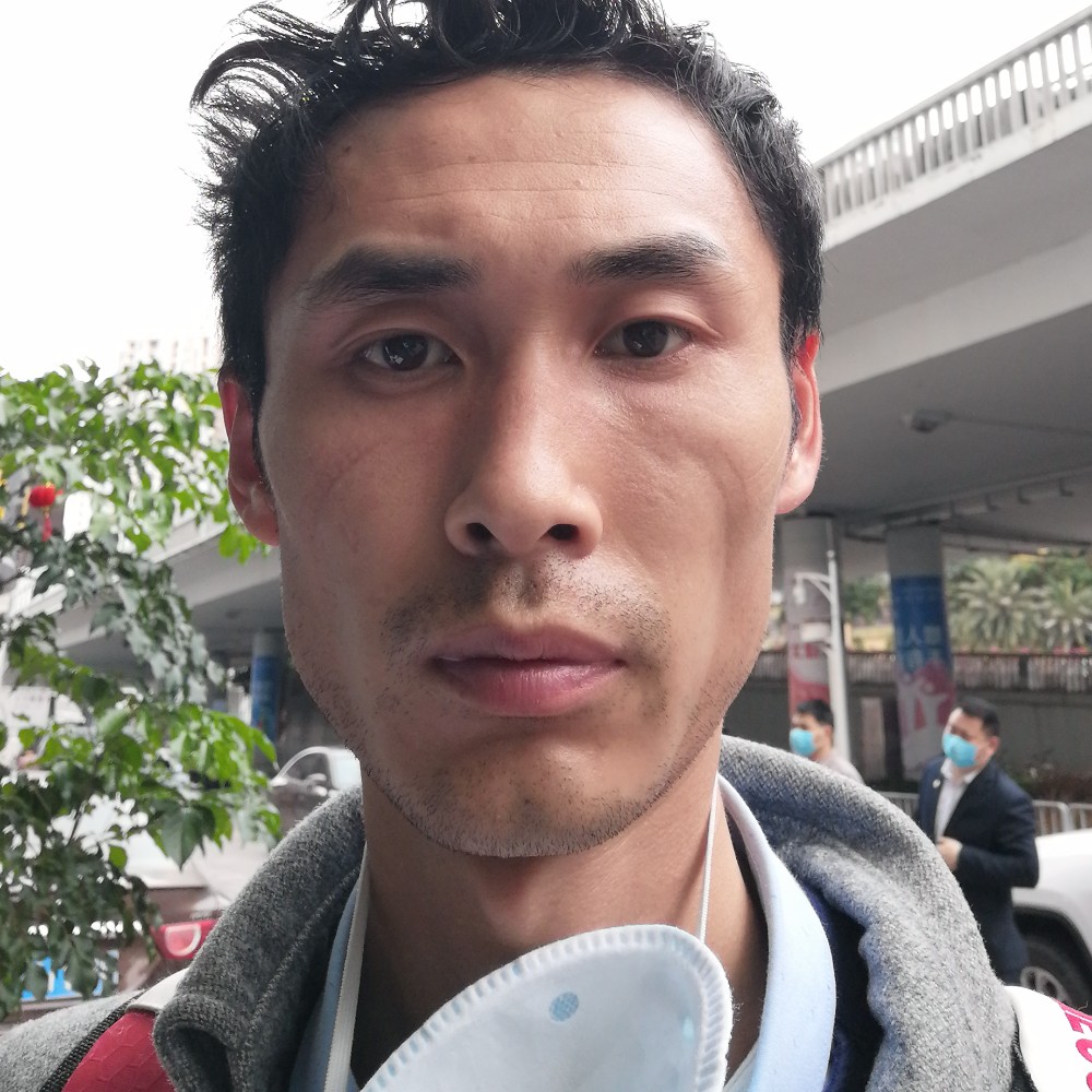 大树强健的照片