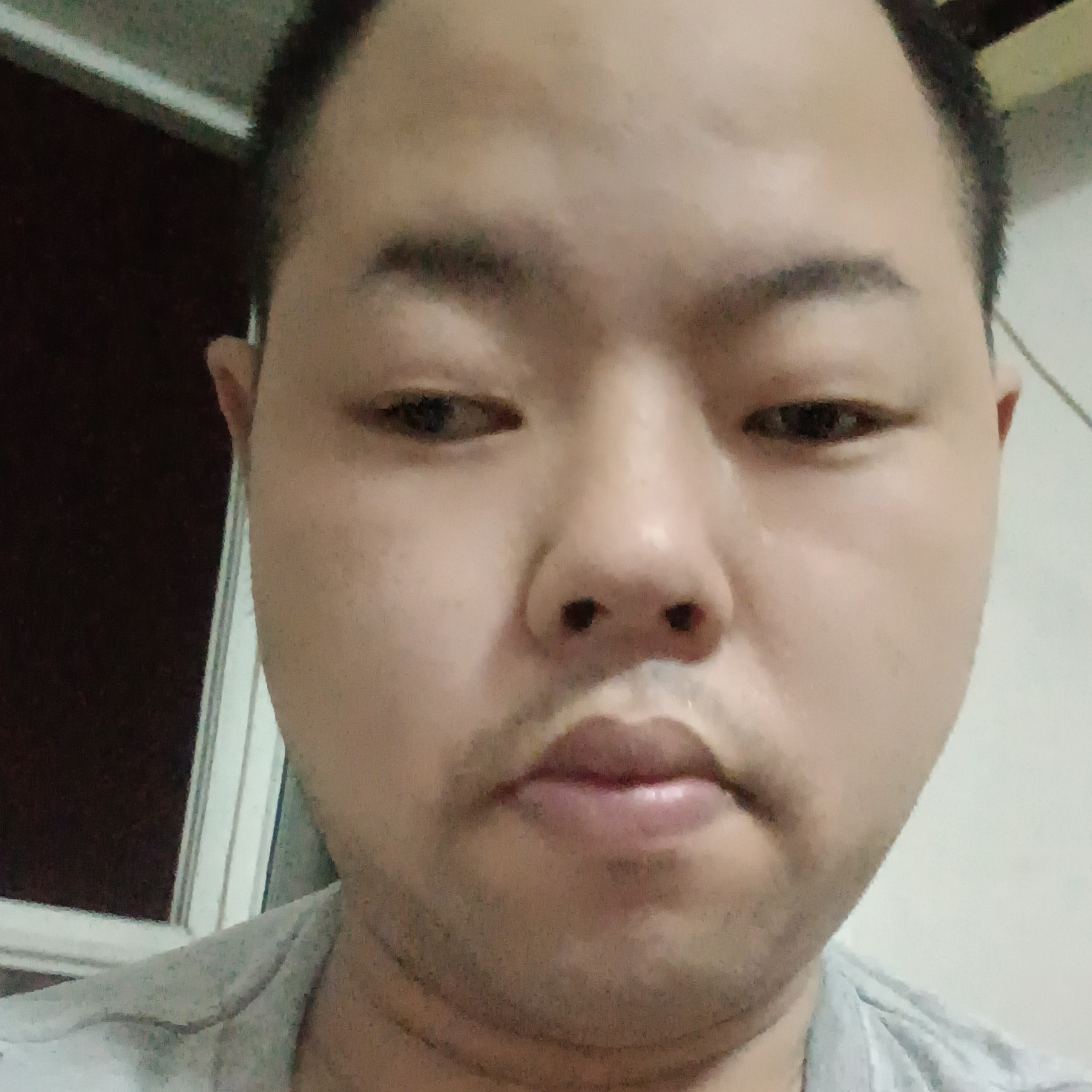 舒适的火龙果的照片
