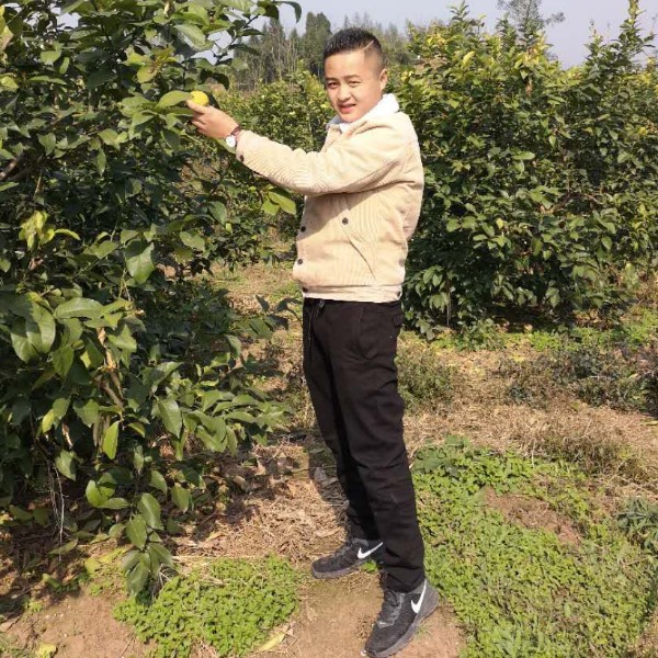 不高不帅不是富二的照片