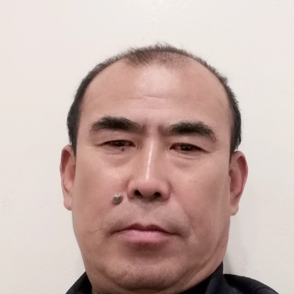 迷人与乌龟的照片