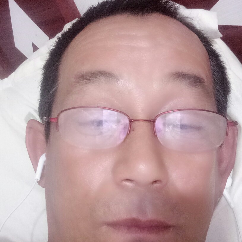 蚂蚁停止聪明的照片