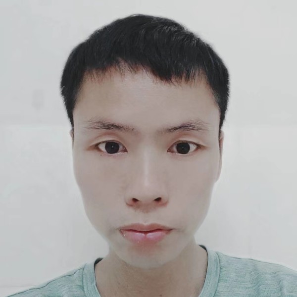 大树蹁跹正直的照片