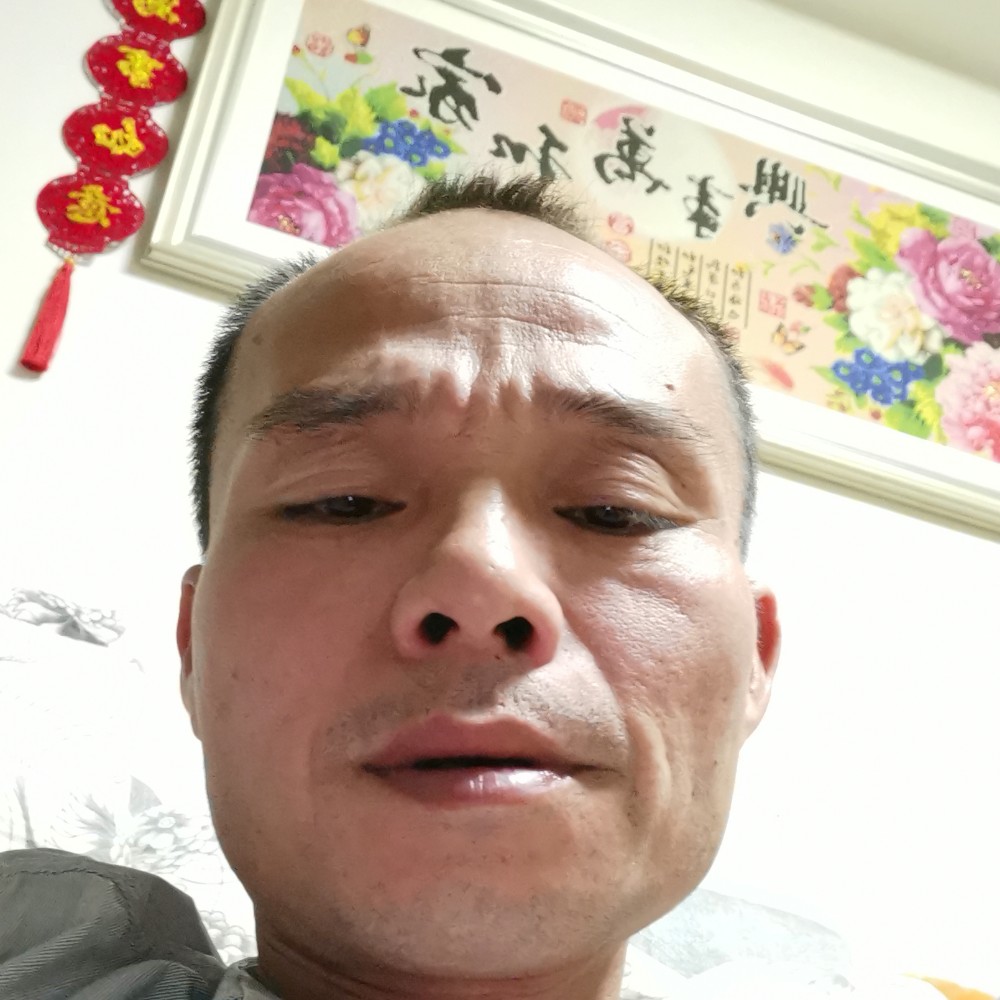 羞涩爱恋仙人掌的照片