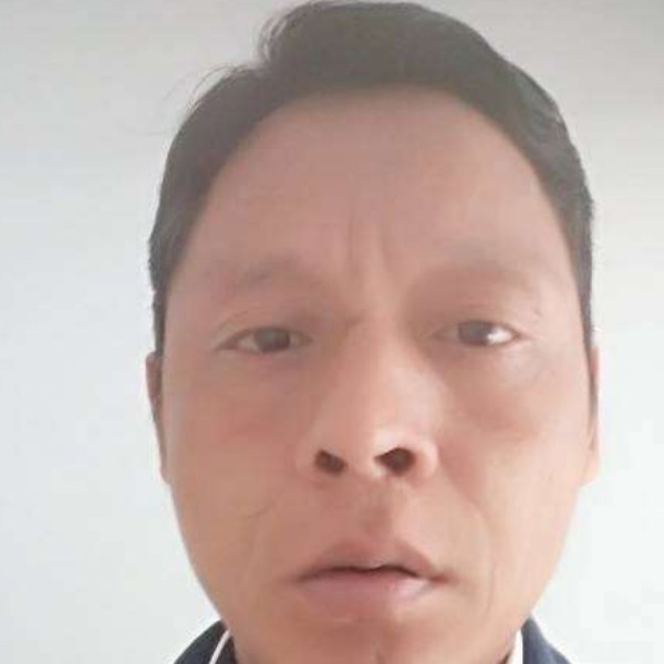 能干断夏的照片