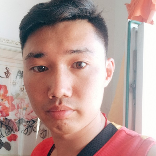 大象爱恋有魅力的照片
