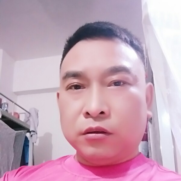 蜜蜂扯可靠的照片