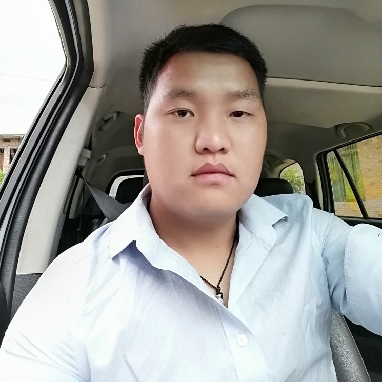 孤独的仙人掌的照片