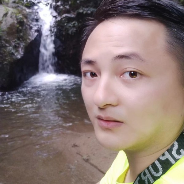不懂爱情的猪的照片