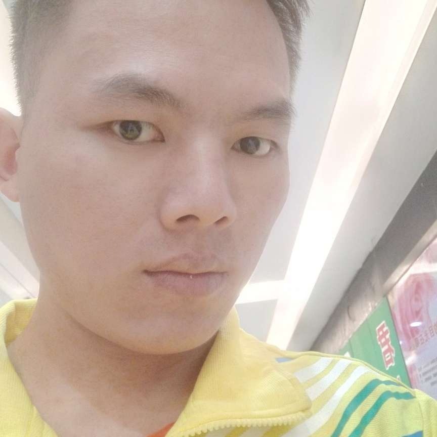 孤单蔷薇的照片