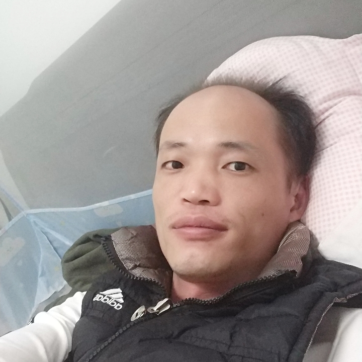 糟糕刺猬的照片