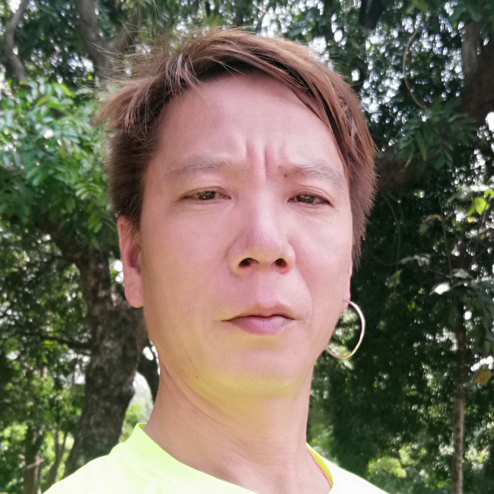 锦瑟向落寂的照片