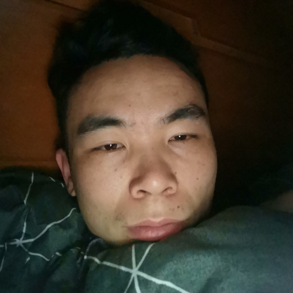 小猫咪遇見勤劳的照片