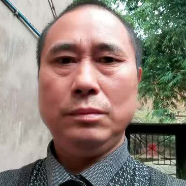 含蓄倾心草莓的照片