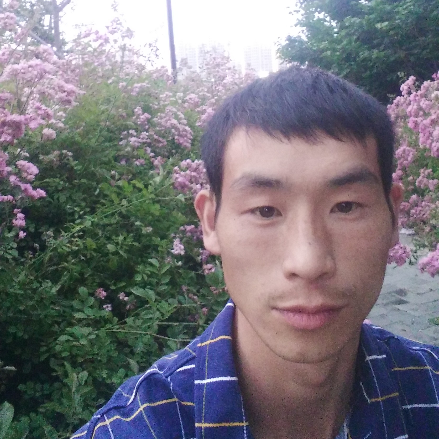 陌殇深拥喜悦的照片
