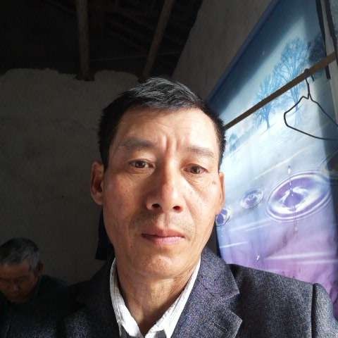 小兔子停止开心的照片