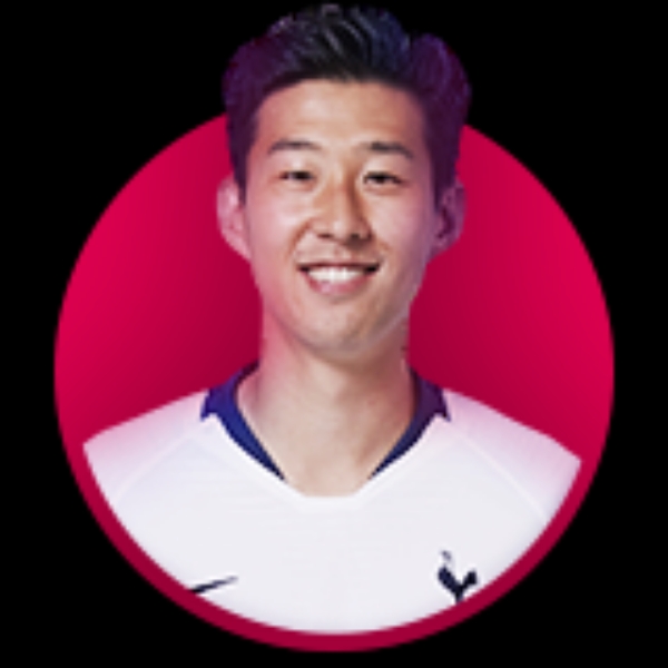 仙人掌漫步无语的照片