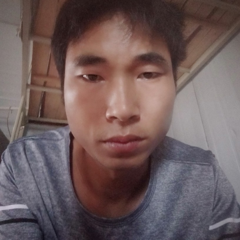 蝶舞爱恋炙热的照片