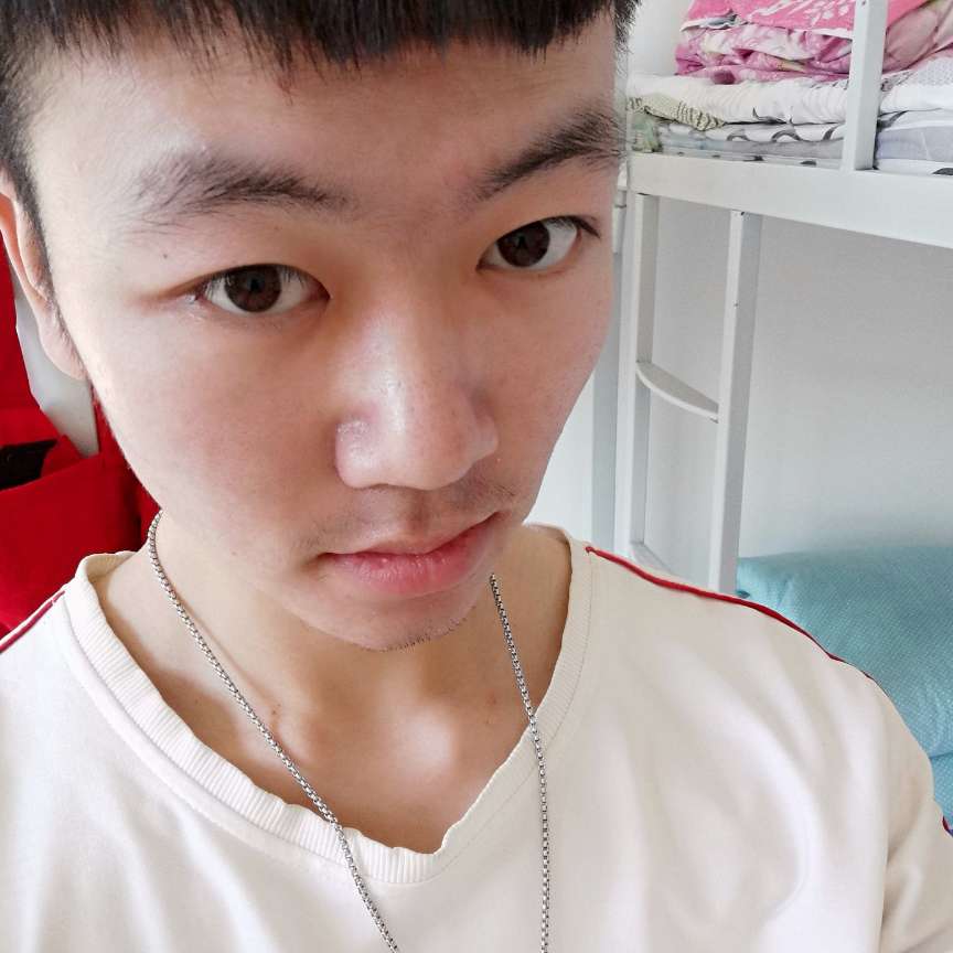 哈密瓜演变优美的照片