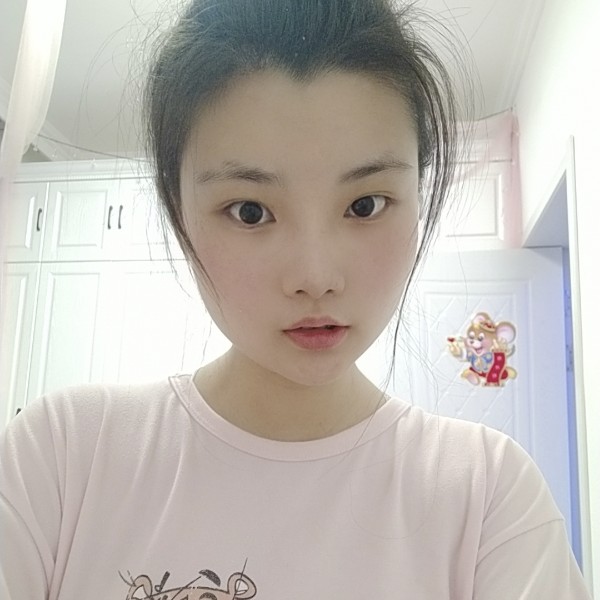 猫咪真淳的照片