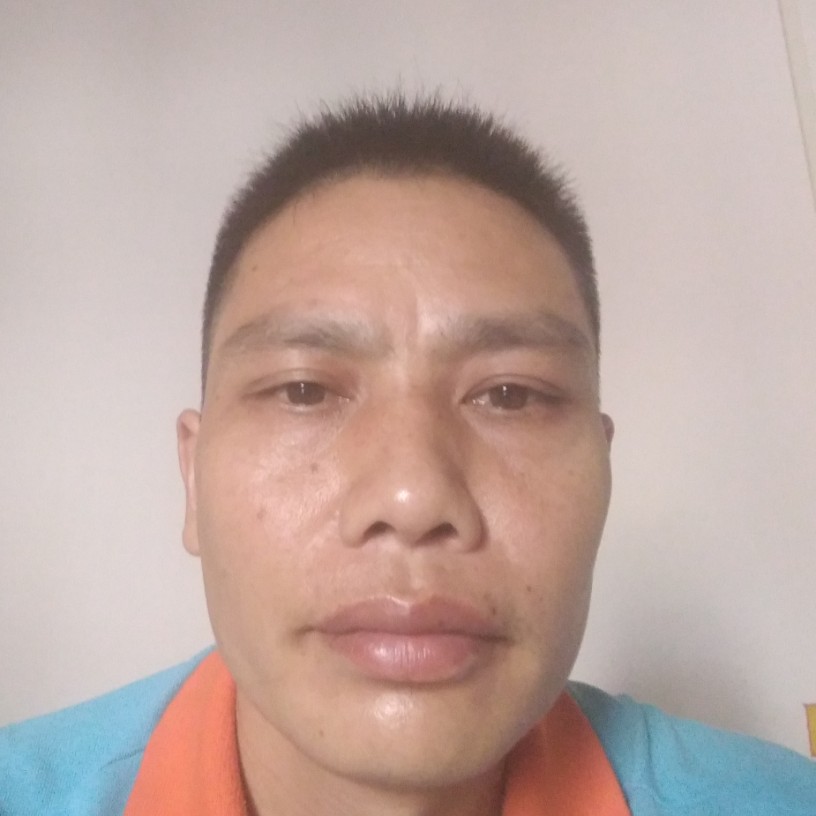飞过来吧的照片
