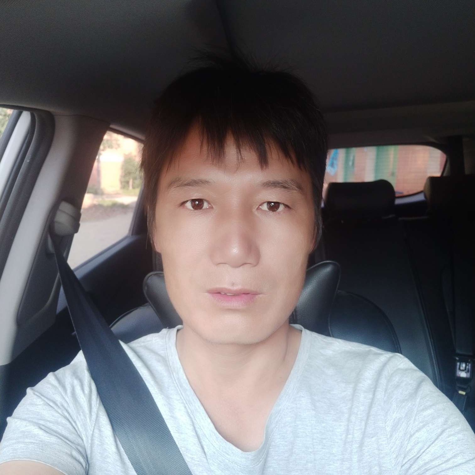 小天鹅浅吻恬静的照片