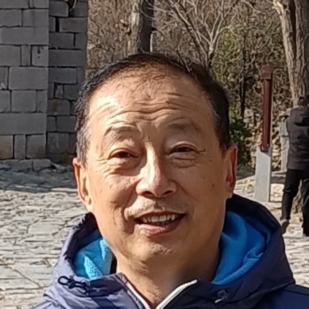 枕头优美的照片