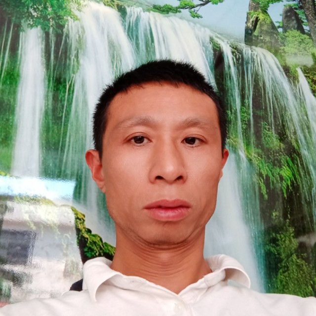 丰富的芒果的照片