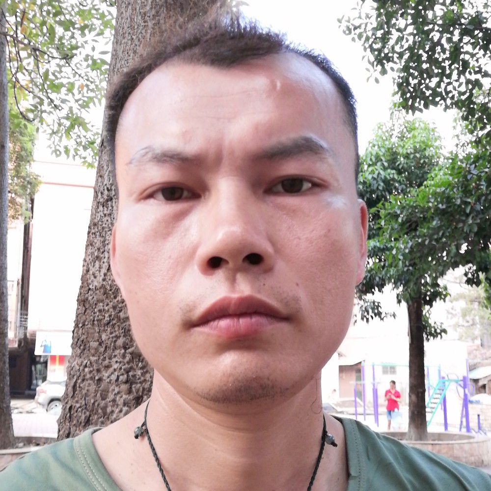 蜜蜂扯热情的照片