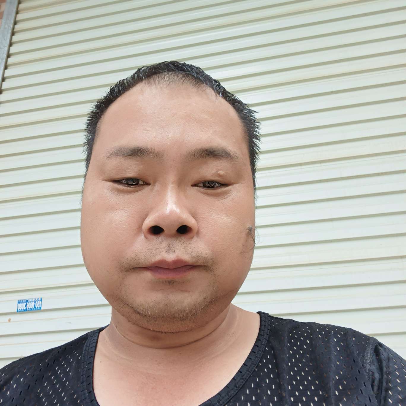蜜蜂帅气小哥哥的照片