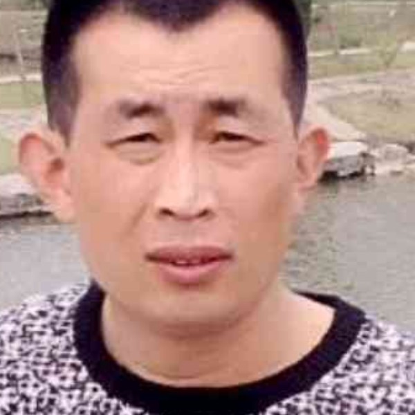 小海豚扯辛勤的照片