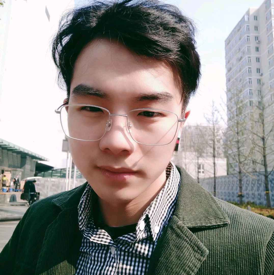 小海豚那潇洒的照片